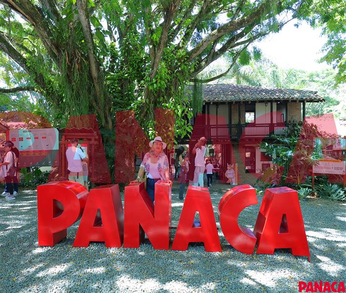 70147935