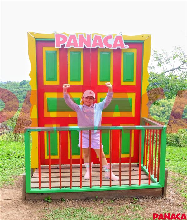 30176069