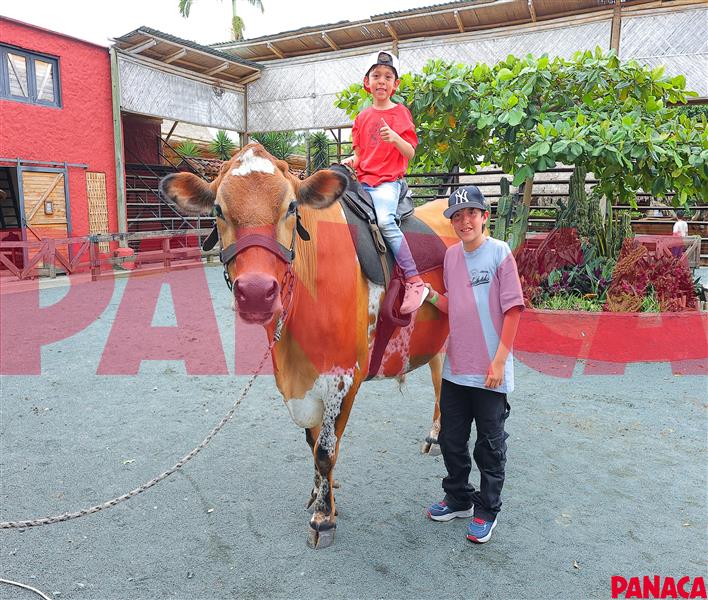 18029518