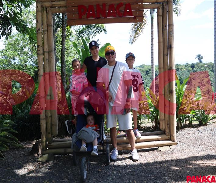 80120972