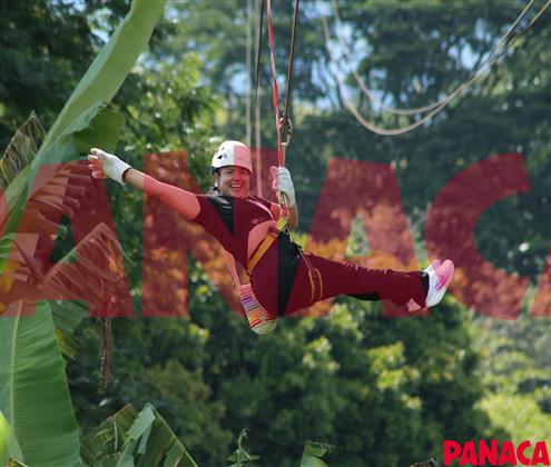95029817
