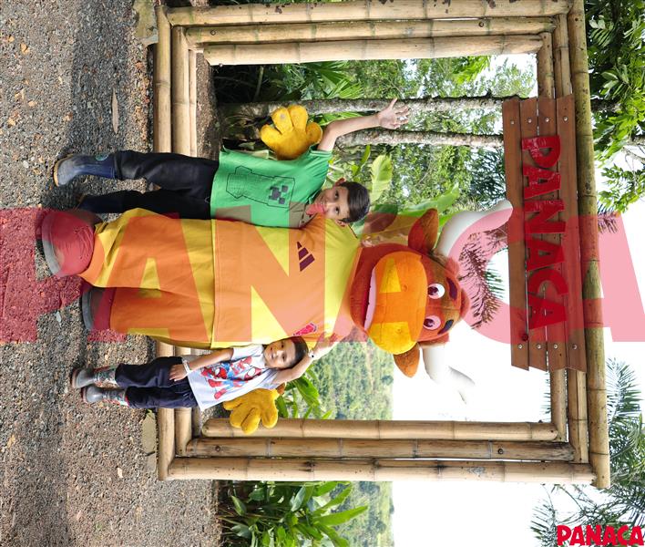 65413271