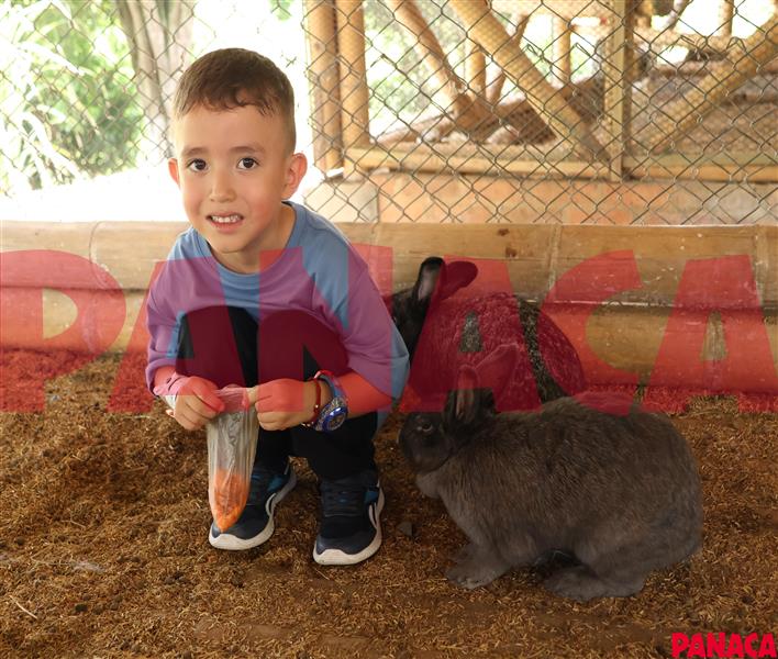 65413451
