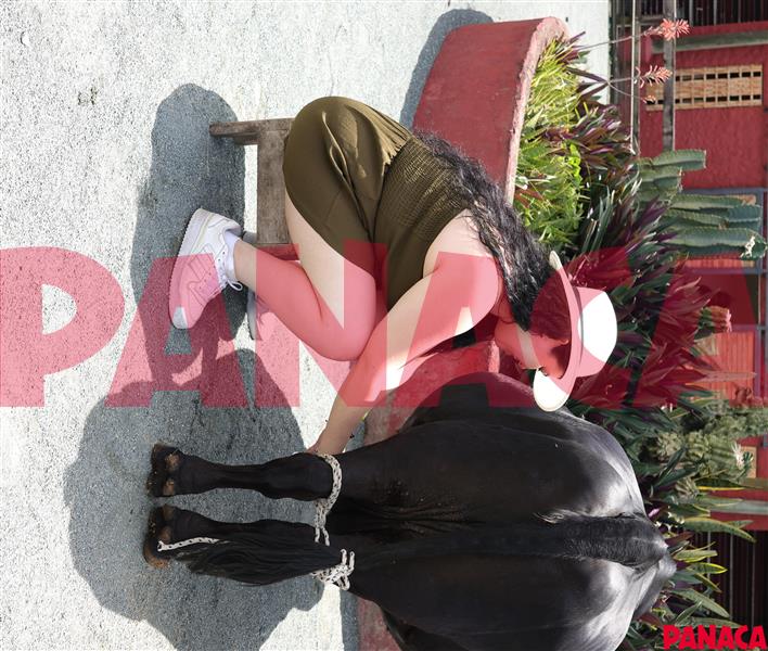 80118791