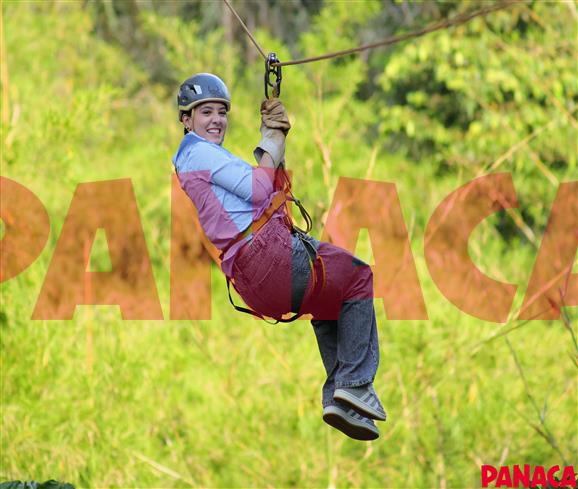 80119058