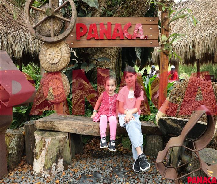 67007693
