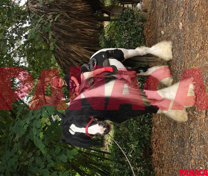 65412782