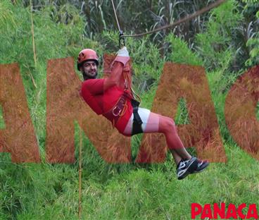 67007913