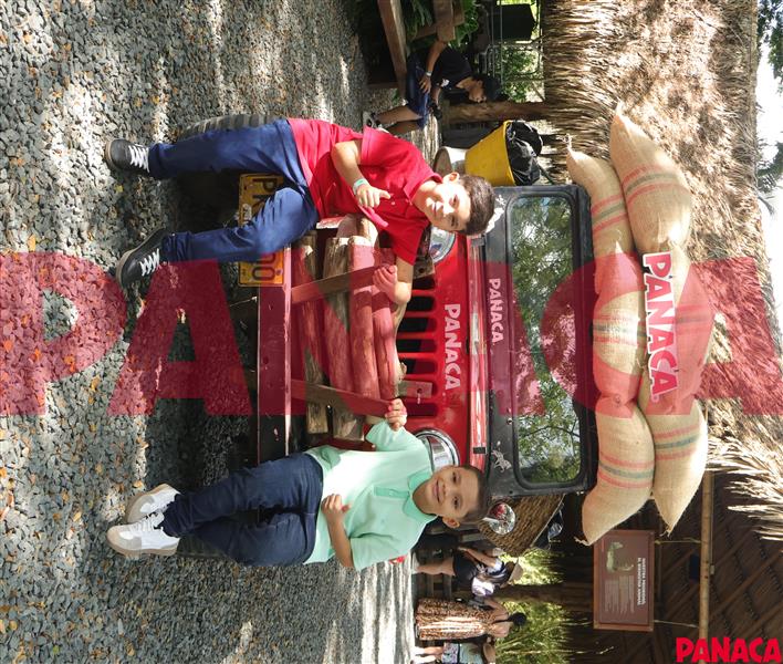 95031027