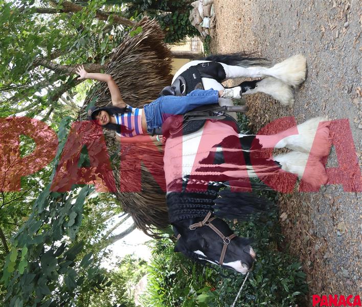 95030814