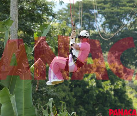 80120576