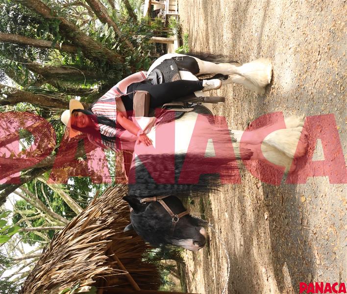 18022821