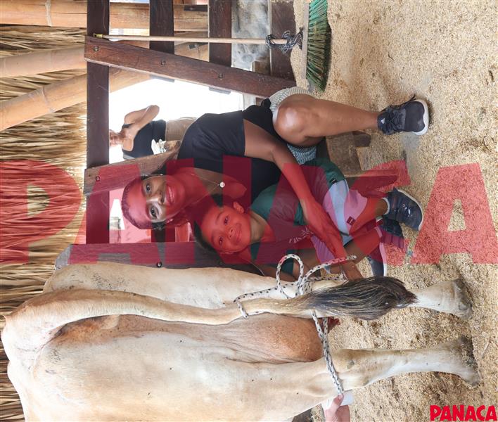18023318