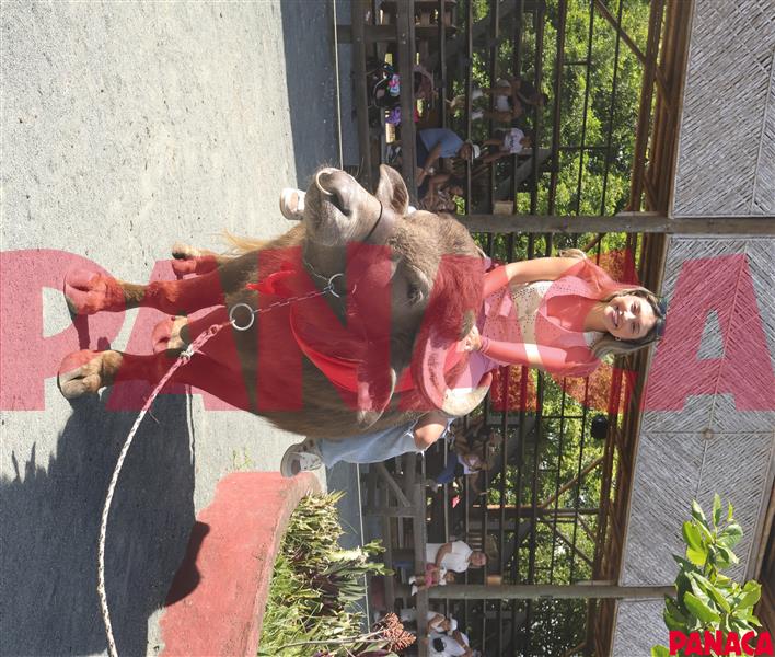 18023779