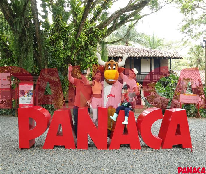 50188129