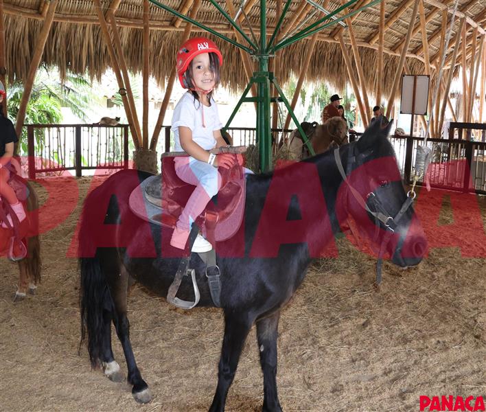 05042026