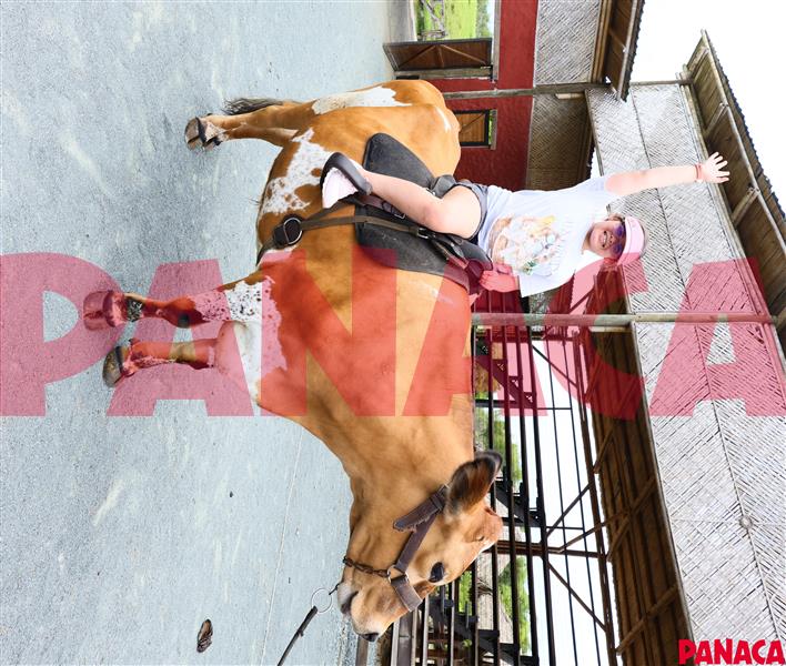 45154684