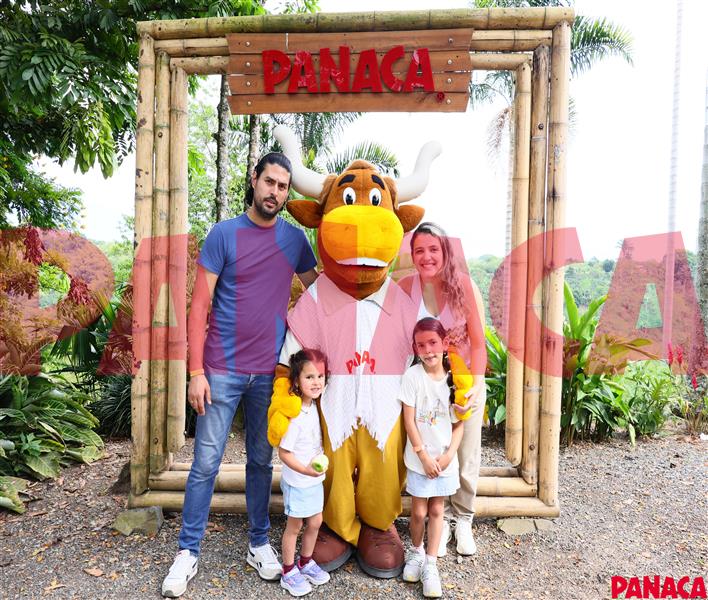 10041994