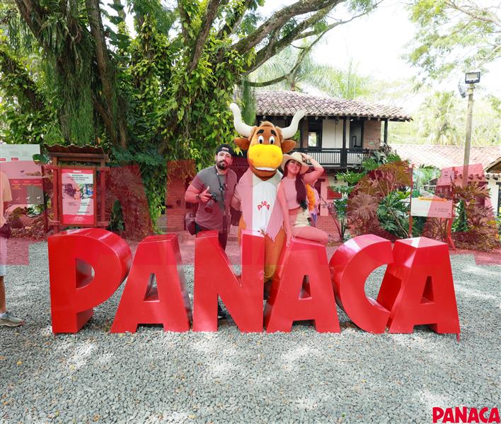 70145336