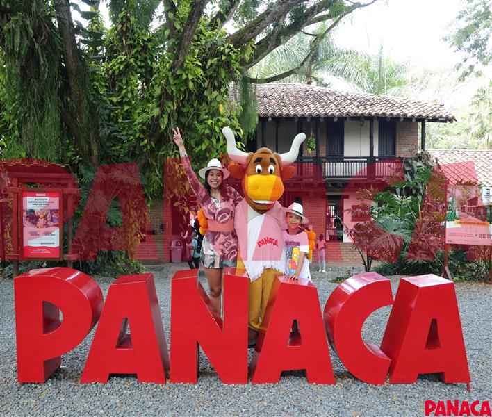 24021992