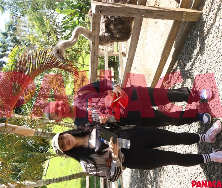 40126669