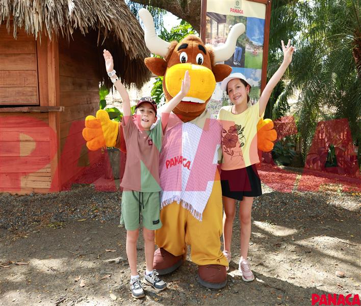 65415793