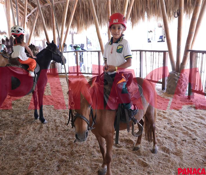 95031792