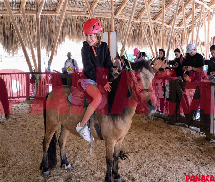 95032183