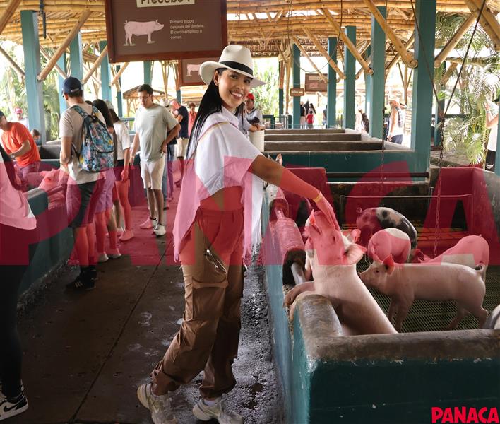 80119947