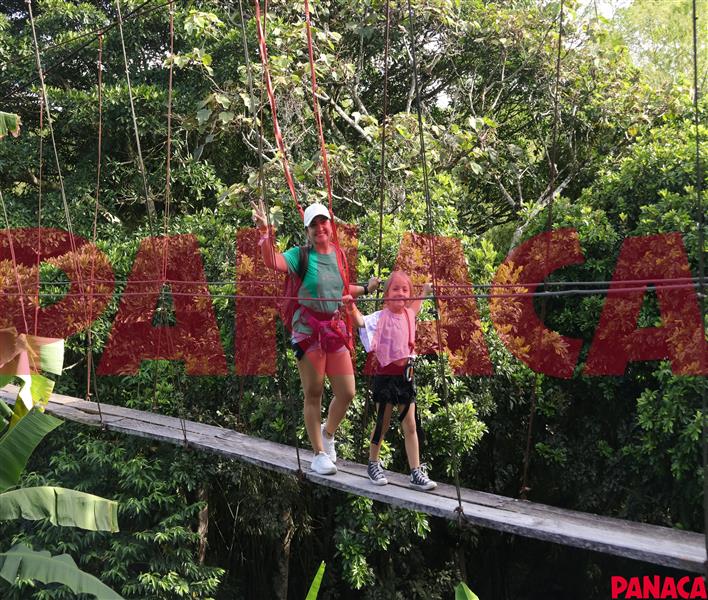 50188441