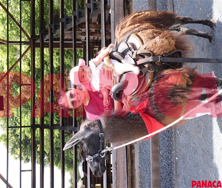 18022434