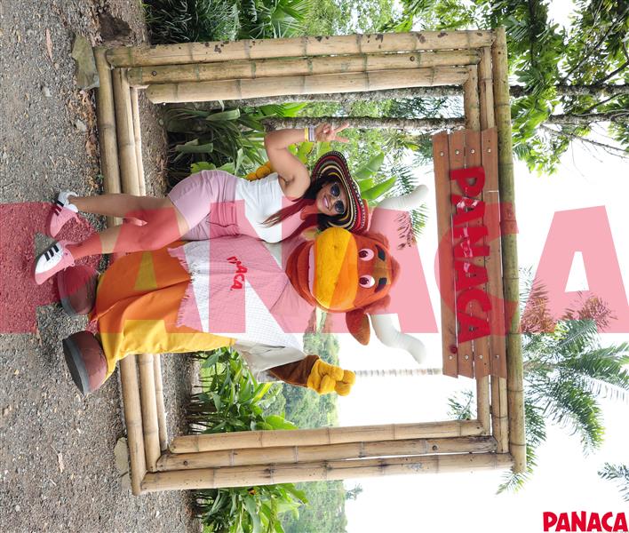 45154766
