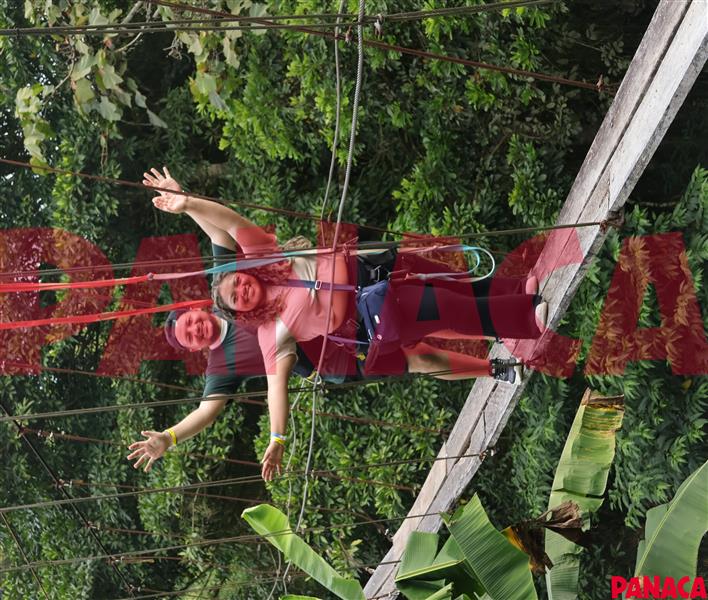 67008499