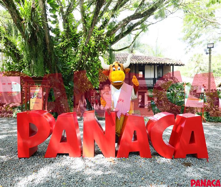 14112022