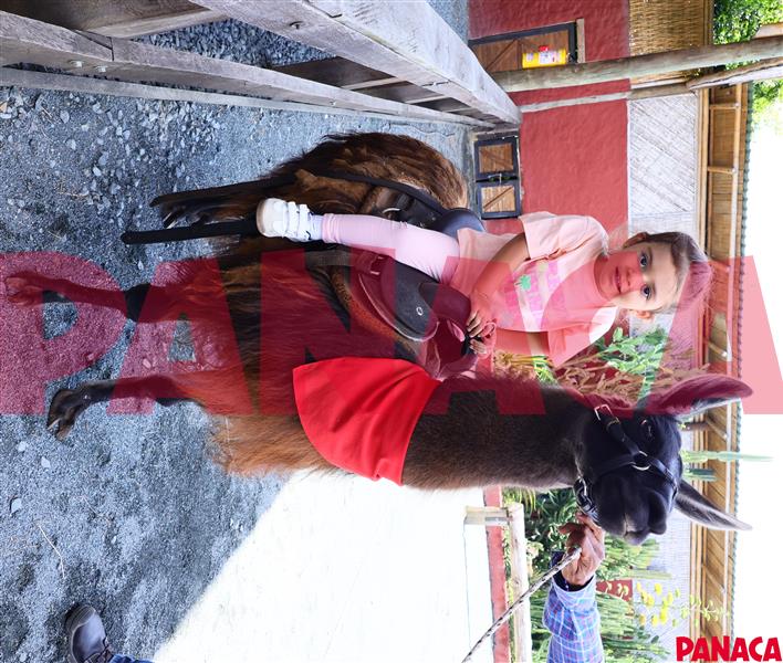 14112022