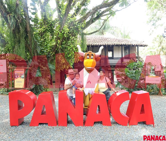 75012559