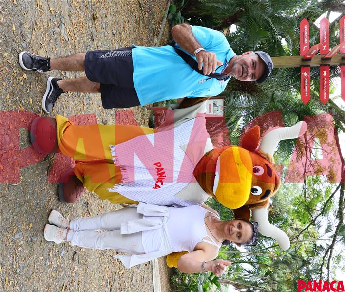 40127229
