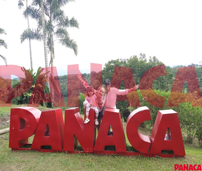 80119657