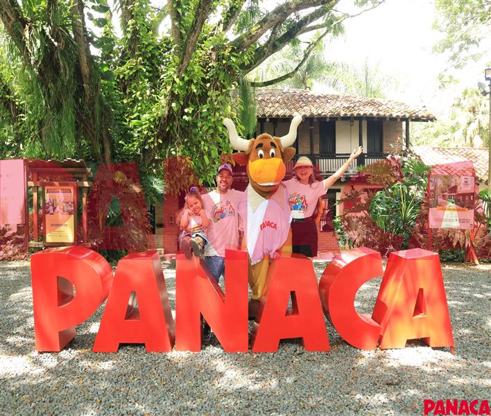 45156062
