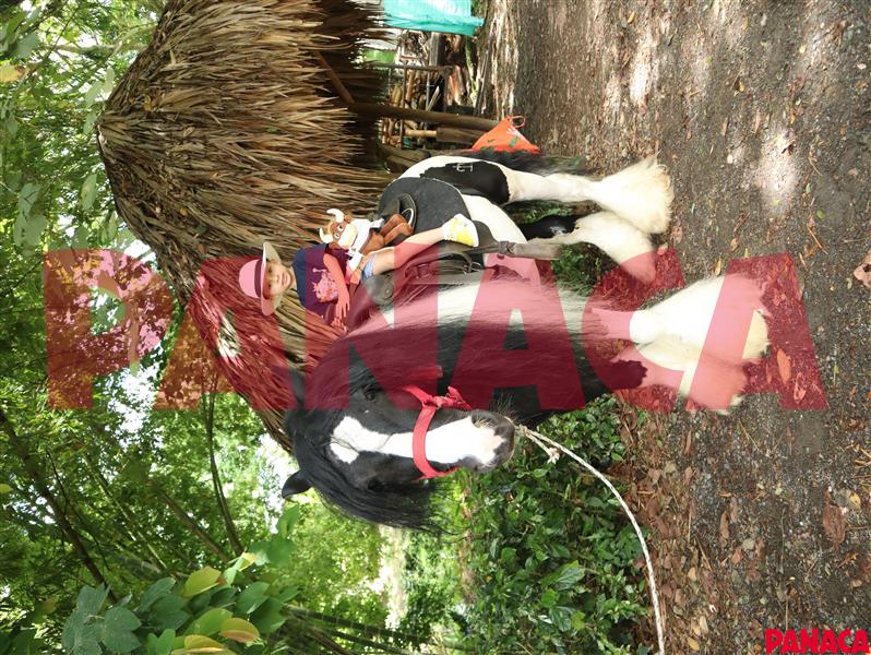 45156045