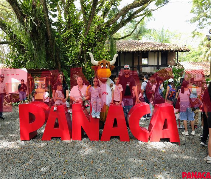 95032405