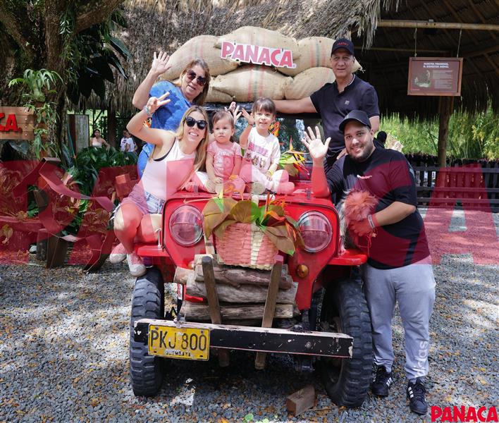 95032427
