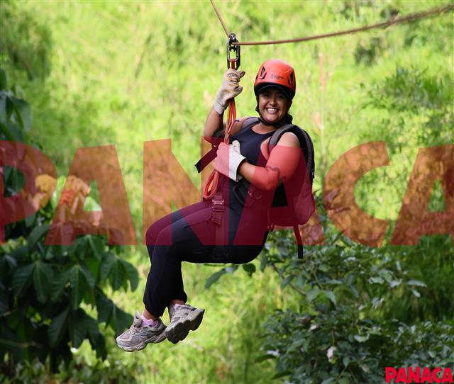 90151196