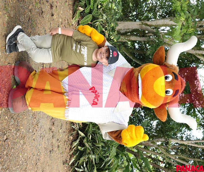25128411