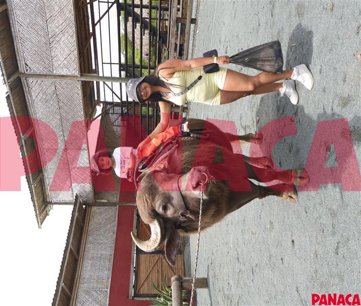 80119470