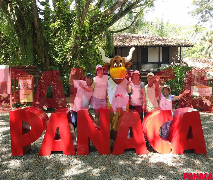 33012386