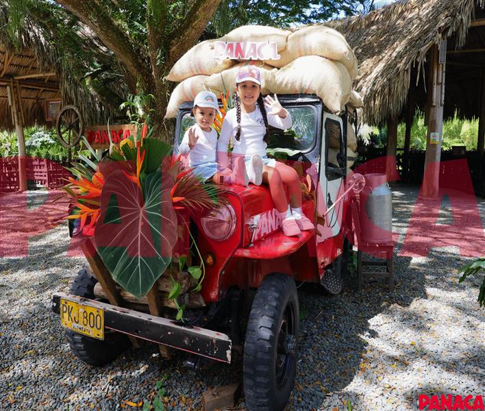 33012607
