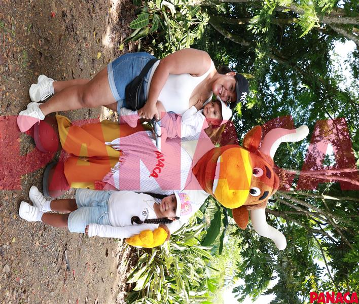 33012607