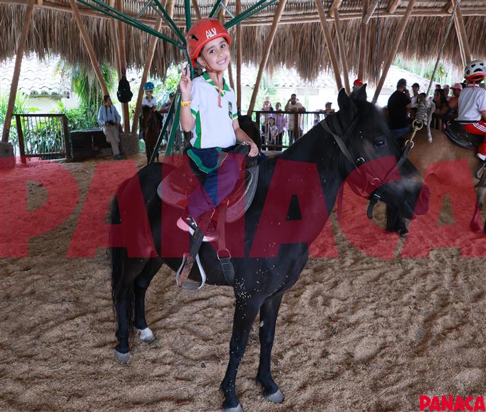 40127299