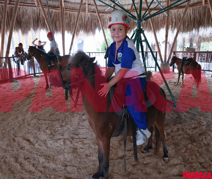 40127178